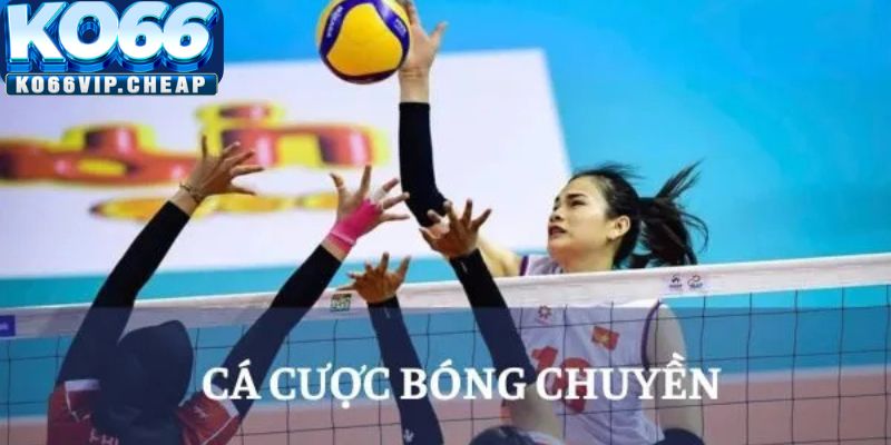 Các Loại Cược Trong Trò Chơi Bóng Chuyền – KO66