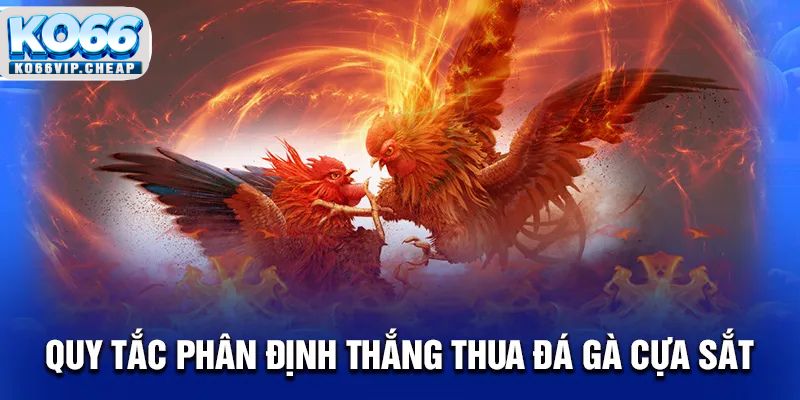 Quy tắc phân định thắng thua đá gà cựa sắt