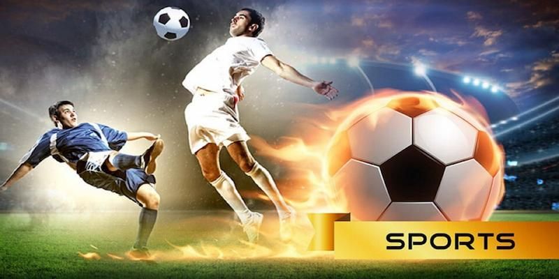 Sảnh S – Sport tại thể thao KO66 đang thu hút nhiều bet thủ