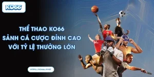 Thể Thao KO66 - Sảnh cá cược đỉnh cao với tỷ lệ thưởng lớn